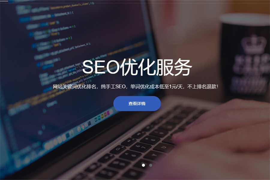 SEO优化网站-网站制作案例